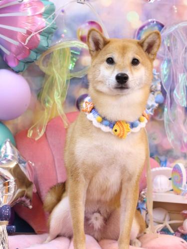 20240514シュウくん